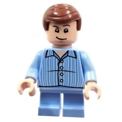 Lego® HP317 Figurine Harry Potter, Dudley Dursley